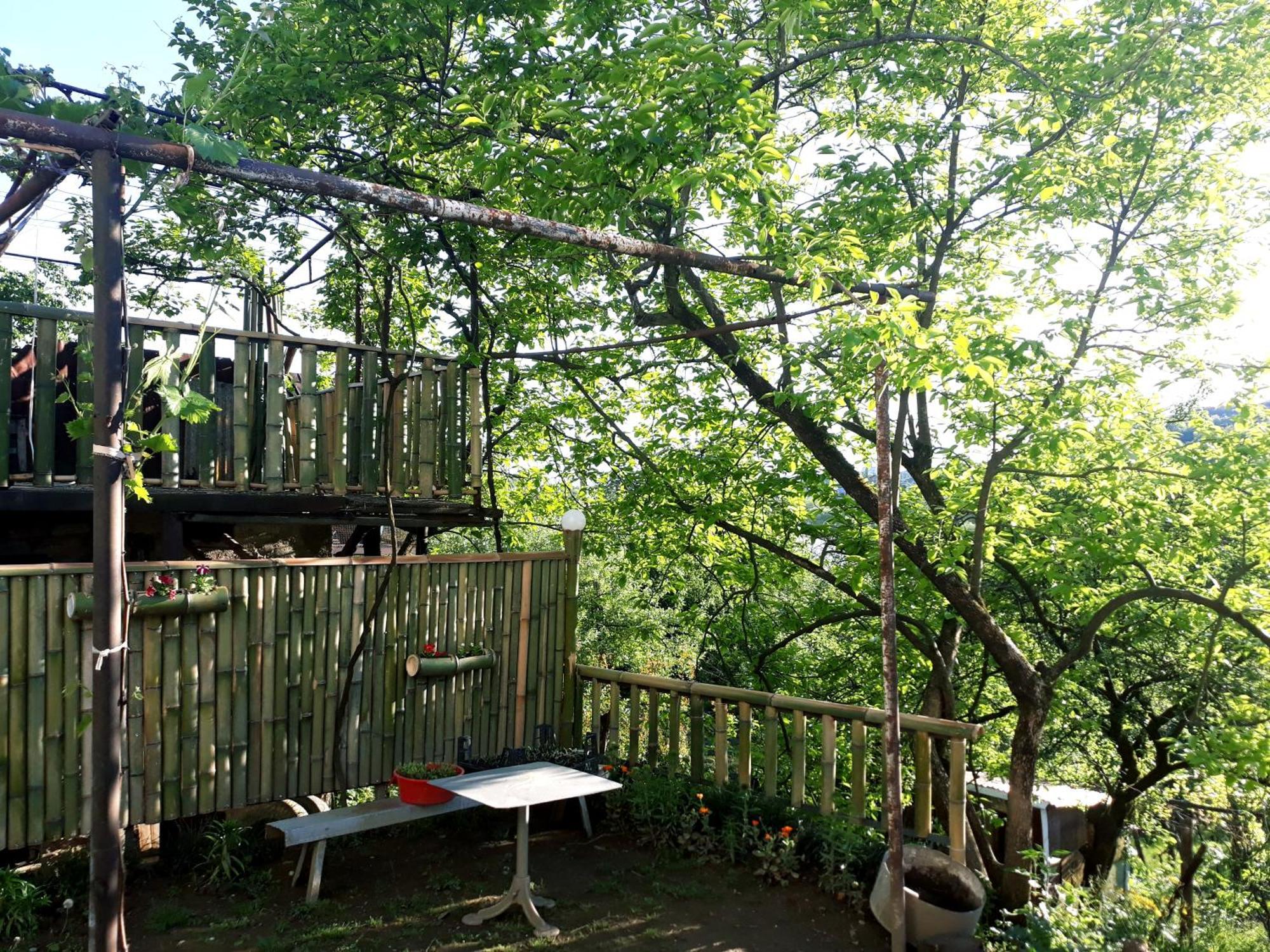 Nature House Κουτάισι Εξωτερικό φωτογραφία